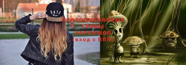 винт Михайловка
