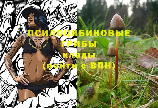 ECSTASY Михайловск