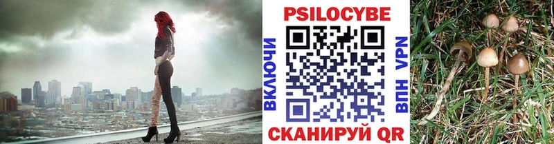 Псилоцибиновые грибы Psilocybine cubensis сколько стоит это как зайти Таруса MEGA сайт